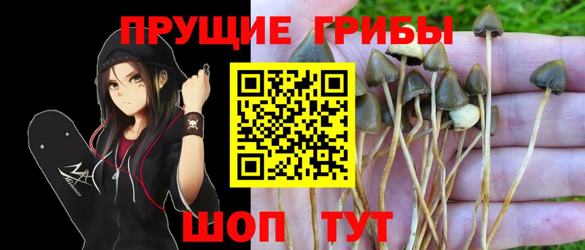 Галлюциногенные грибы мицелий Россия
