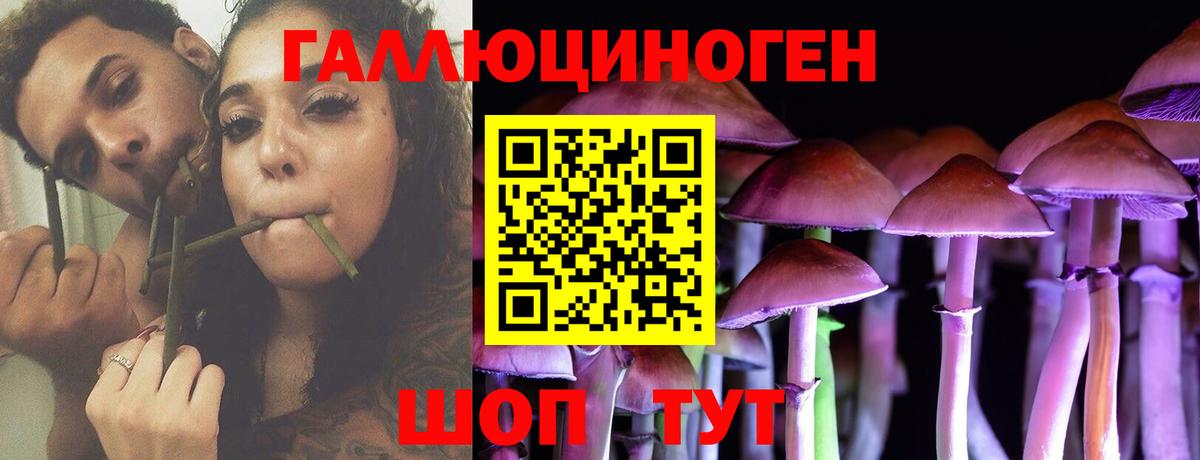 Псилоцибиновые грибы MAGIC MUSHROOMS  что такое   Россия  Вход с VPN 